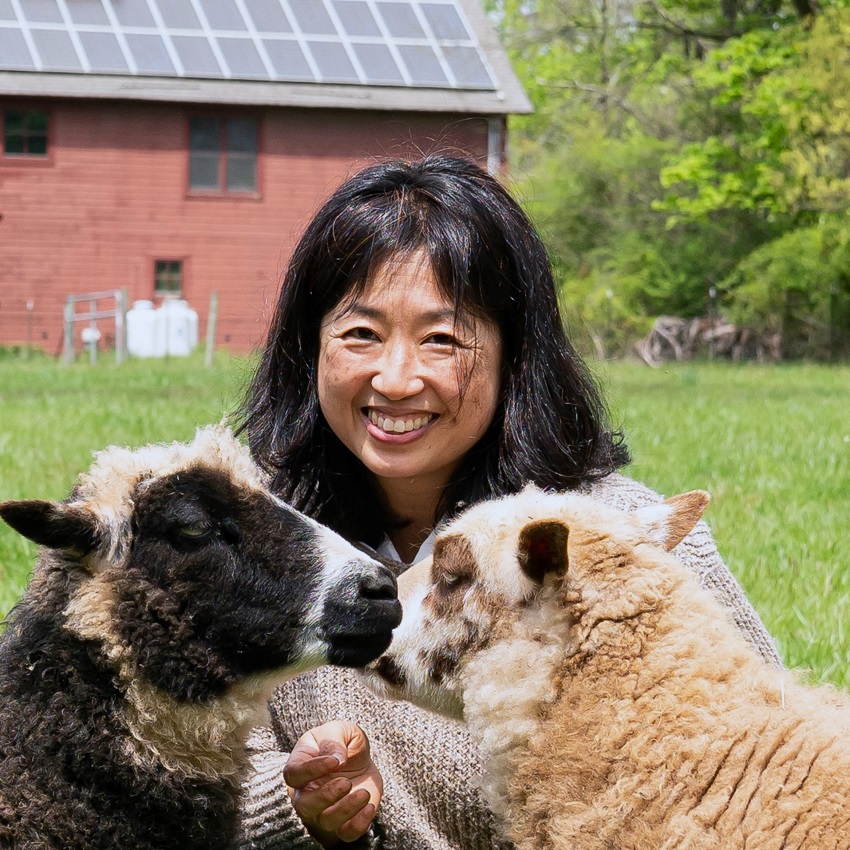 Anne Choi